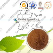 Kieferrindenextrakt 95% Proanthocyanidine